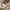 item.buttonTitle