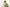 익스트림 레더