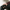 마이스터스튁 5cc 카드 홀더