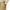 몽블랑 T 후크 브레이슬릿