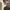 마이스터스튁 6cc 카드 홀더