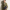 소프트 그레인 메신저 백