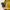 사토리얼 14cc 지퍼 포켓 지갑 