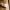 마이스터스튁 5cc 카드 홀더