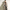사토리얼 노트북 케이스