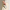 마이스터스튁 9cc 카드 홀더