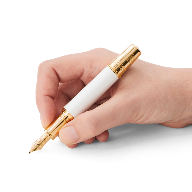 Patron of Art Homage to Albert Limited Edition 4810 Fountain Pen M - 4
