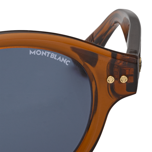 Round Sunglasses with Brown Acetate Frame - 3