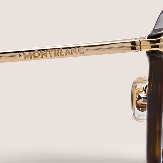 Round Sunglasses with Havana Acetate Frame - 3