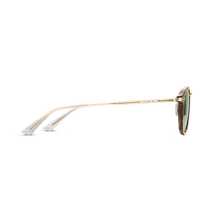 Round Sunglasses with Havana Injected Frame,  Round Sunglasses with Havana Injected Frame