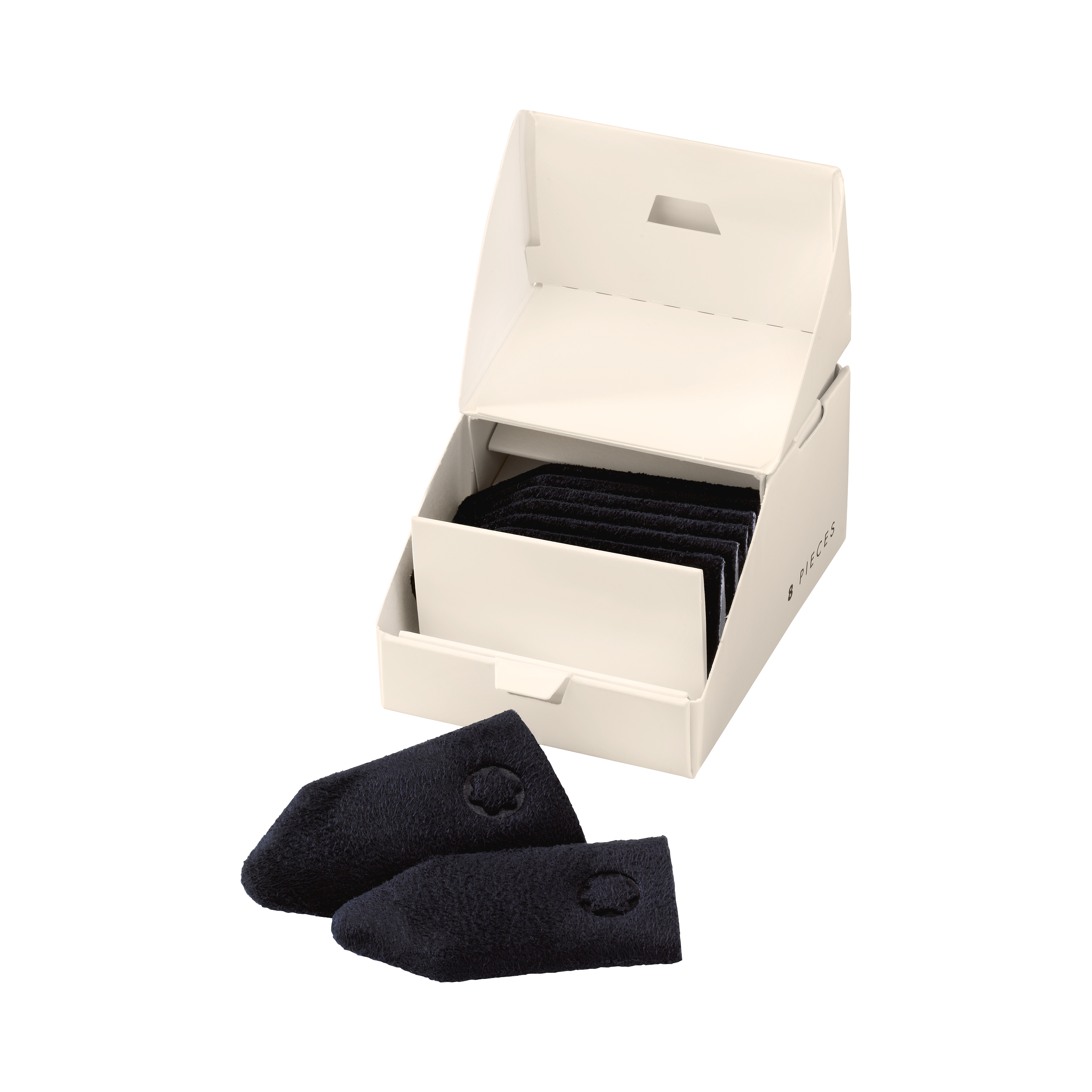 منظّف الريشة