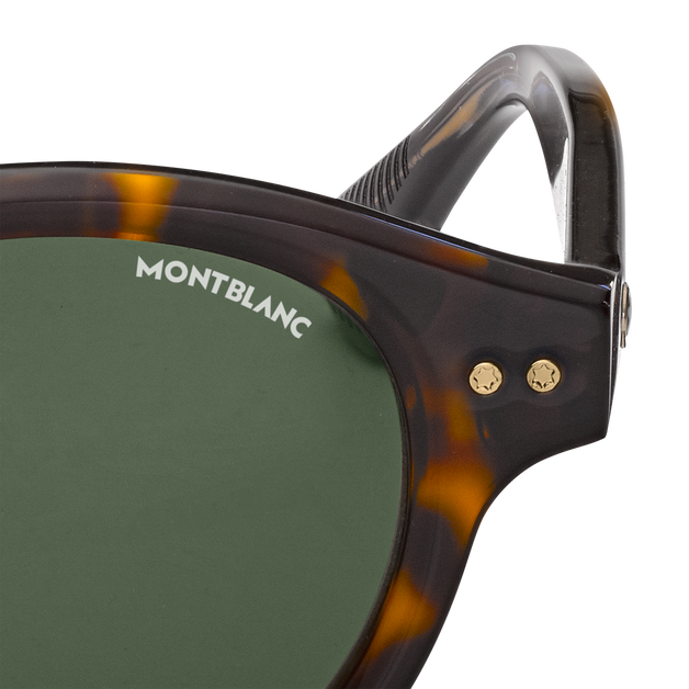 Round Sunglasses with Havana-Colored Acetate Frame - 3
