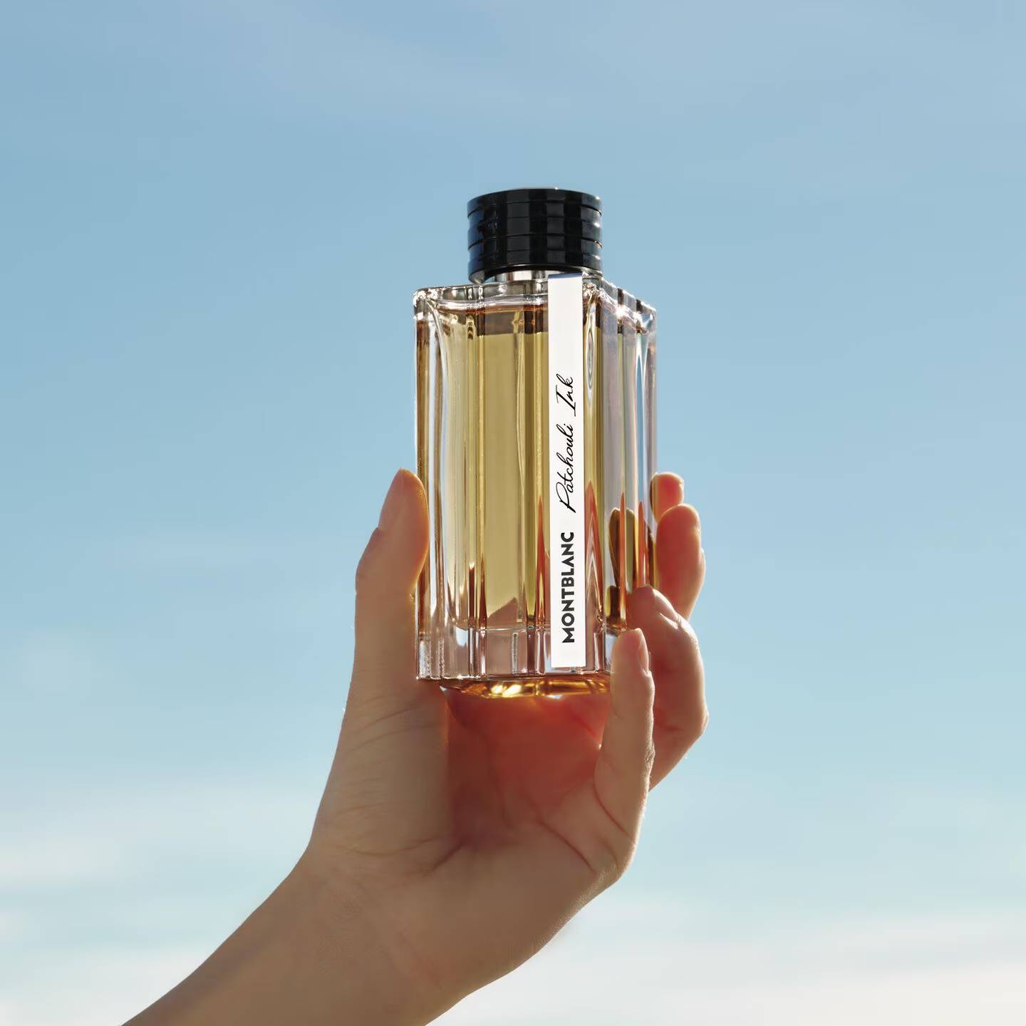 Fragances For Him